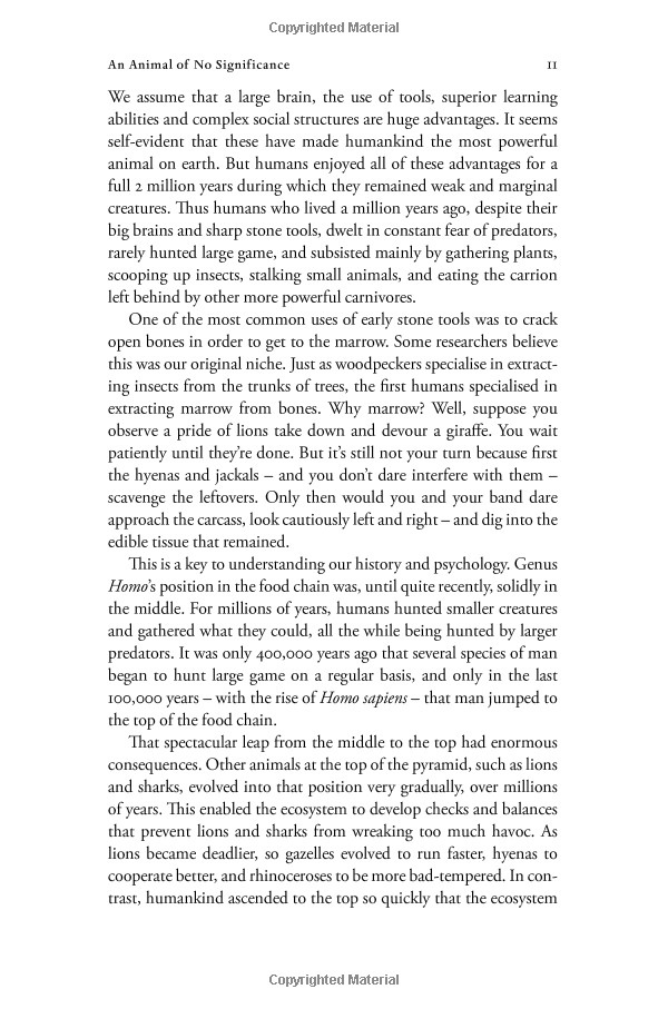 Sapiens : A Brief History of Humankind (Patterns of Life)