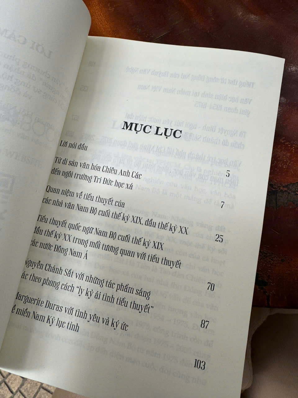 VĂN CHƯƠNG PHƯƠNG NAM: NHỮNG VÙNG ĐẤT – NHỮNG CON NGƯỜI - Hà Thanh Vân – Hanoi Books ` `` ` `