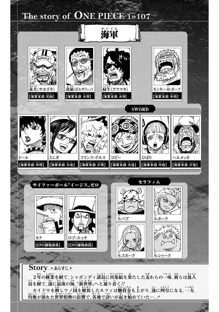 One Piece 107 (Japanese Edition)