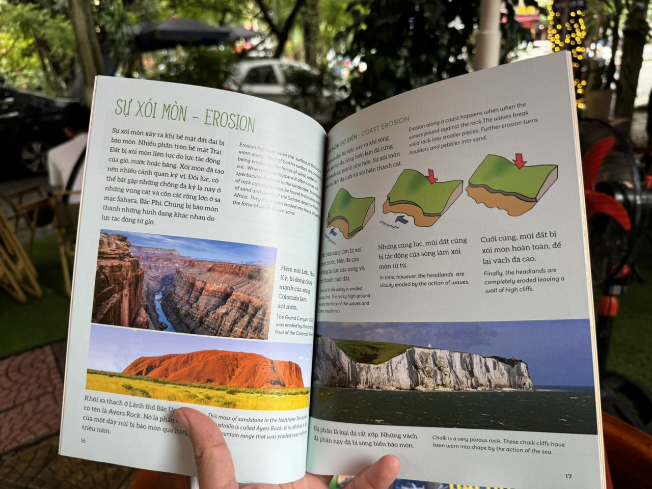 (Bộ sách Song Ngữ Việt – Anh) COMBO 5 CUỐN BÁCH KHOA TRI THỨC - Encyclopedia of Science – Bramblekids – Phạm Danh Việt dịch – Hà Giang Books – NXB Dân trí