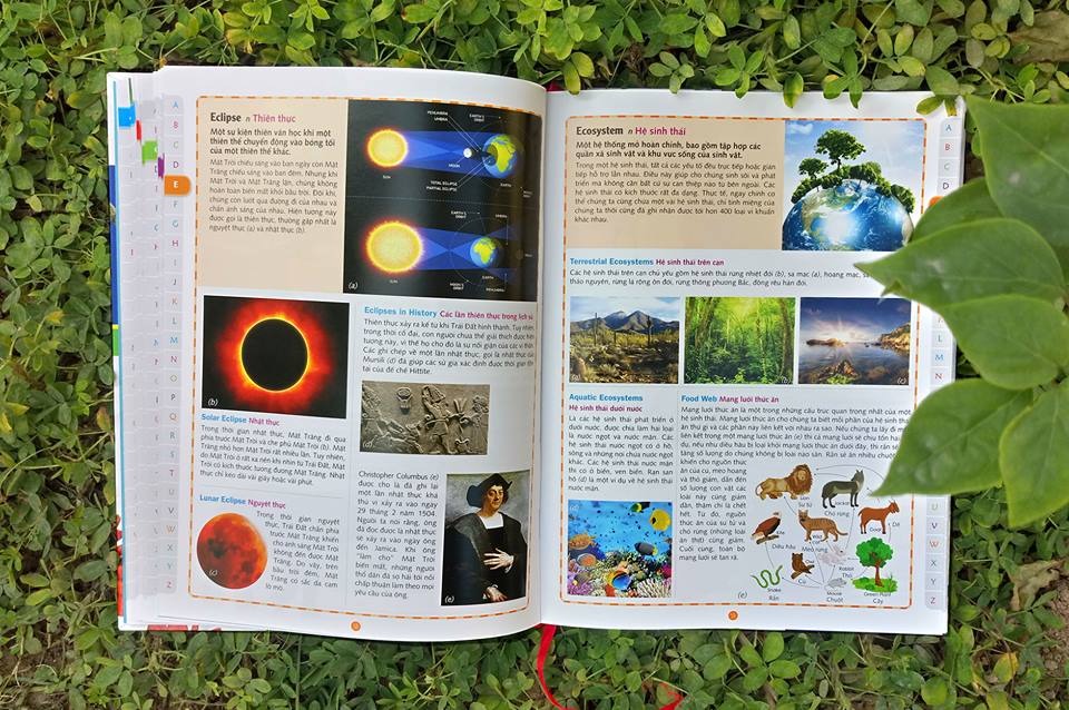 Childrens Picture Dictionary - Từ Điển Tranh Dành Cho Trẻ Em