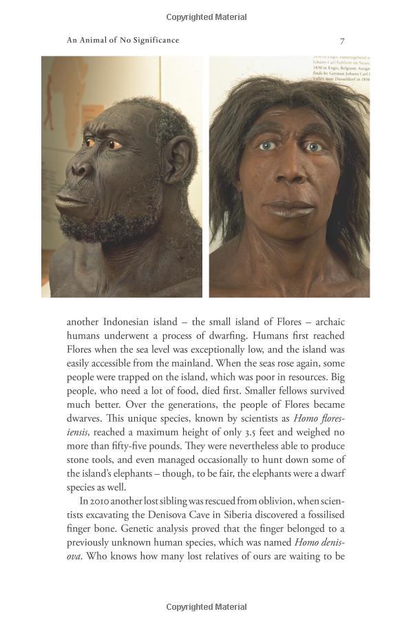 Sapiens : A Brief History of Humankind (Patterns of Life)