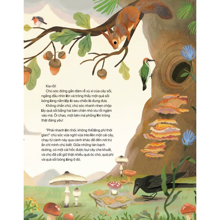 Sách - Điều Kỳ Diệu Của Thiên Nhiên - ndbooks