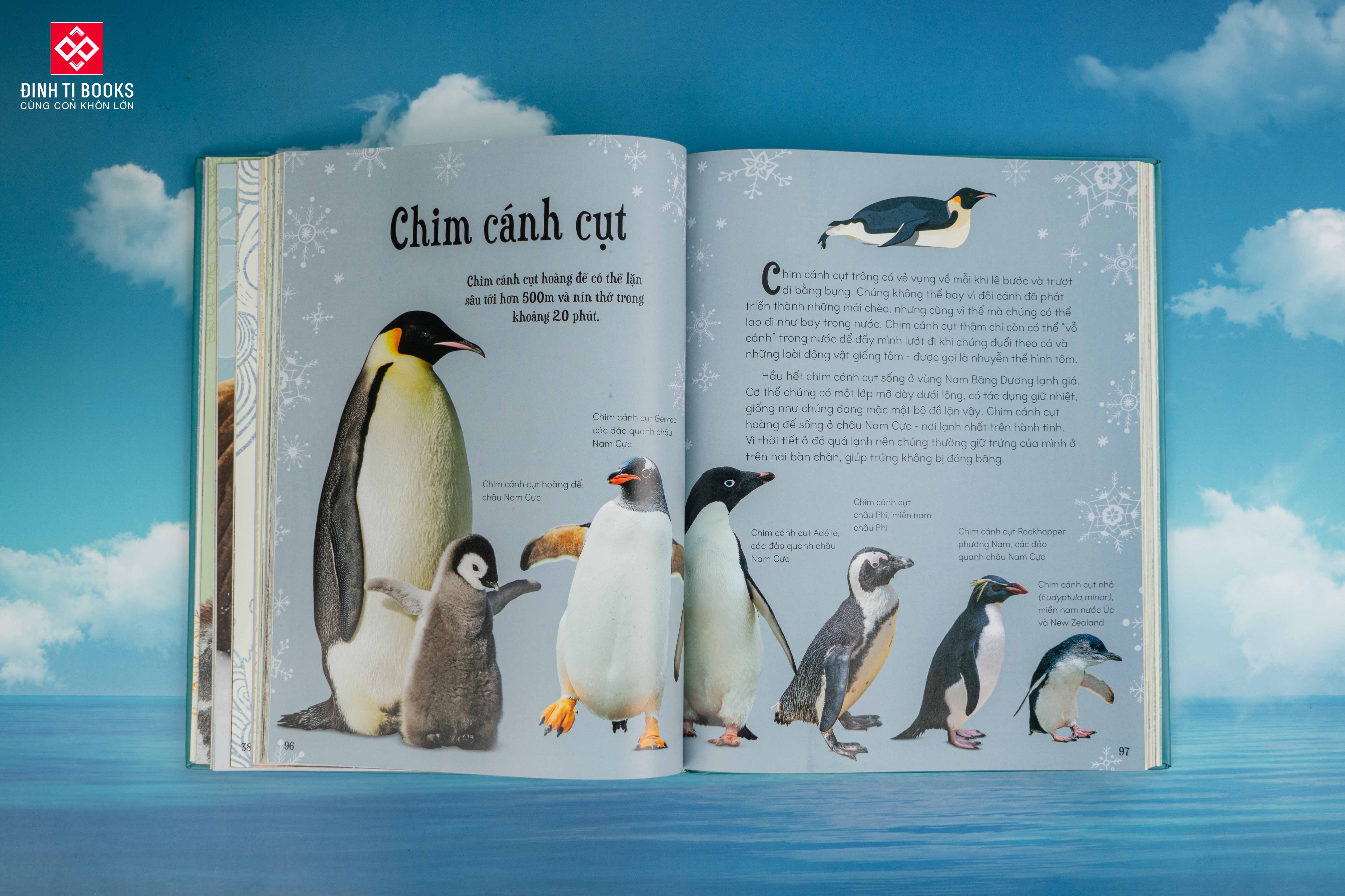Sách - Bách khoa thư kỳ thú về Vũ trụ - Đinh Tị Books