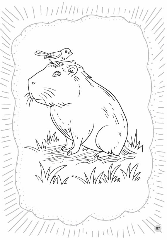 Combo 2 cuốn sách Tô màu yêu thích của các bé - Capybara Bộ trưởng bộ ngoại giao - Có tặng kèm sticker đủ màu