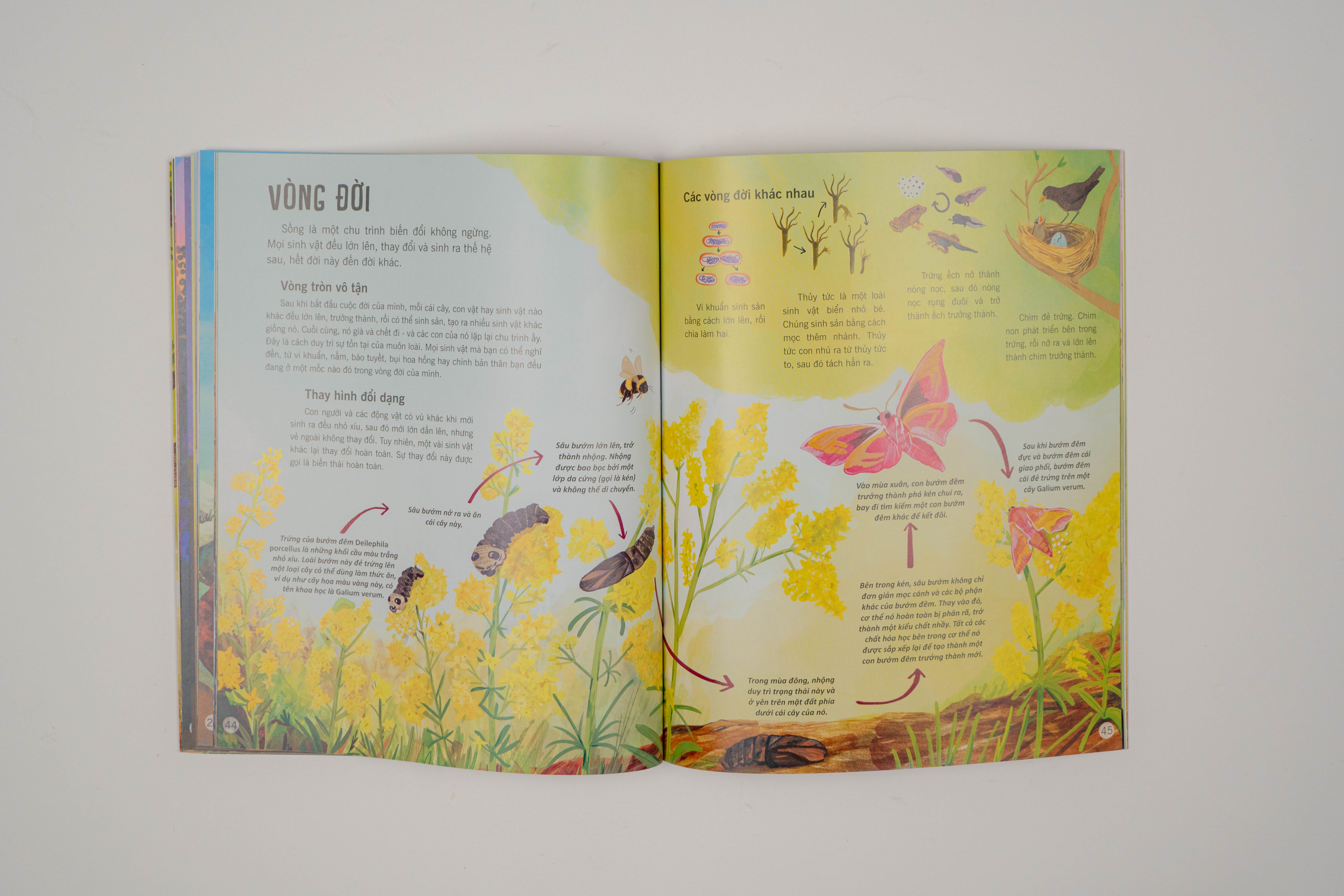 Sách - Vạn vật biến đổi - Bách khoa tri thức cho trẻ từ 6 - 12 tuổi - Đinh Tị Books