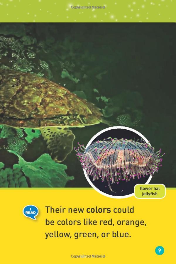 Glowing Animals (L1/Co-Reader) (National Geographic Readers)