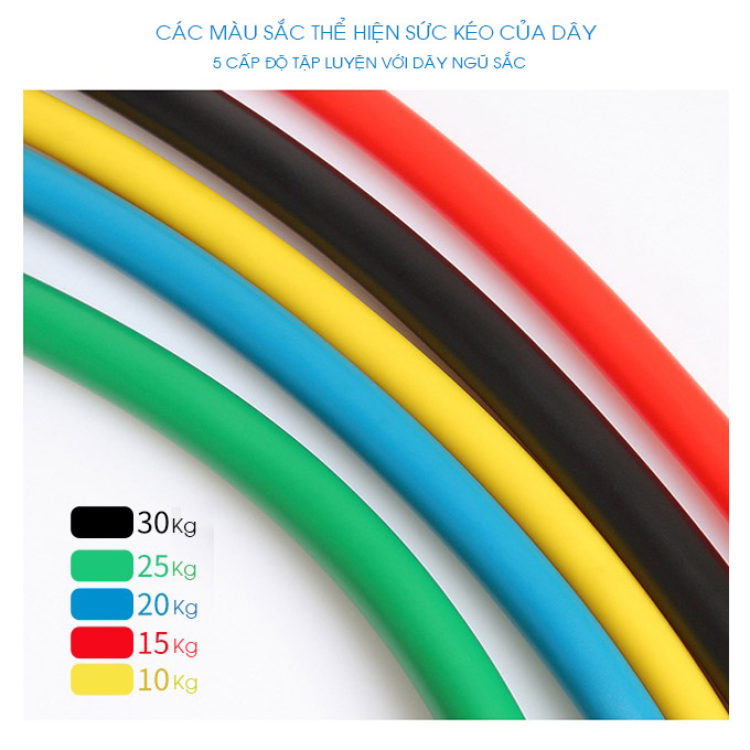 Ghế Tập Tạ Đa Năng P189 Mẫu 2021 Tích Hợp Nhiều Bài Tập Cơ Bụng,Cơ Vai,Cơ Tay,Cơ Lưng Eo Tienphatsmart Tặng Bộ Dây Ngũ Sắc 11 Chi Tiết.