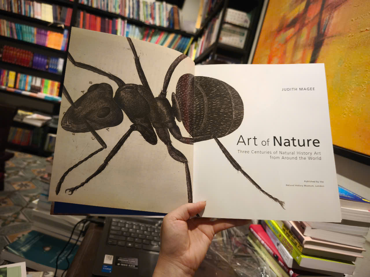 Sách - Art of Nature: Three Centuries of Natural History Art from Around the World by Judith Magee