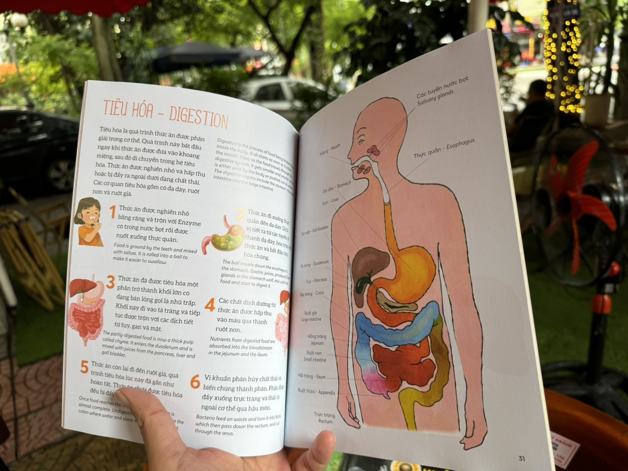 (Bộ sách Song Ngữ Việt – Anh) COMBO 5 CUỐN BÁCH KHOA TRI THỨC - Encyclopedia of Science – Bramblekids – Phạm Danh Việt dịch – Hà Giang Books – NXB Dân trí