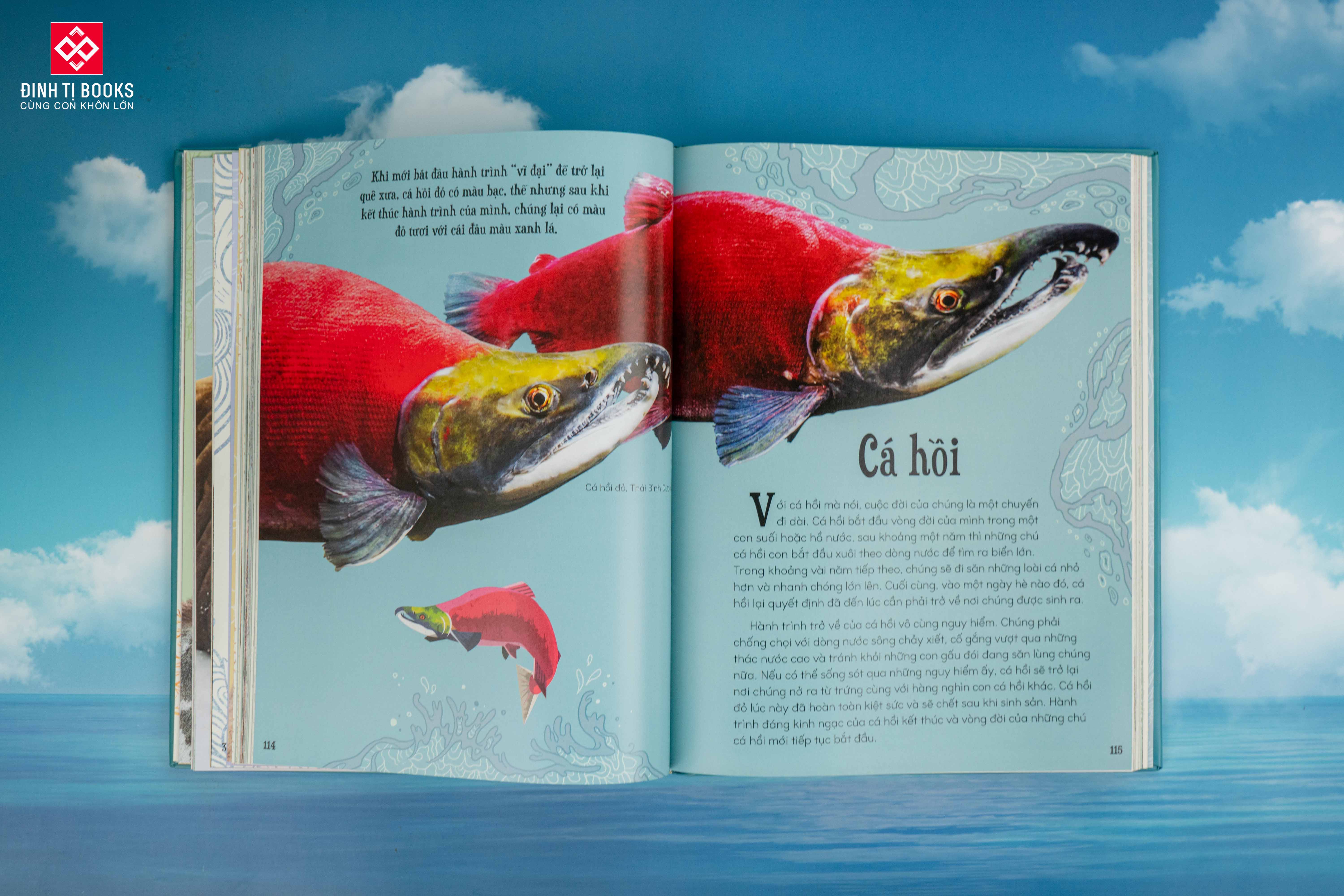 Sách - Bách khoa thư kỳ thú về Vũ trụ - Đinh Tị Books