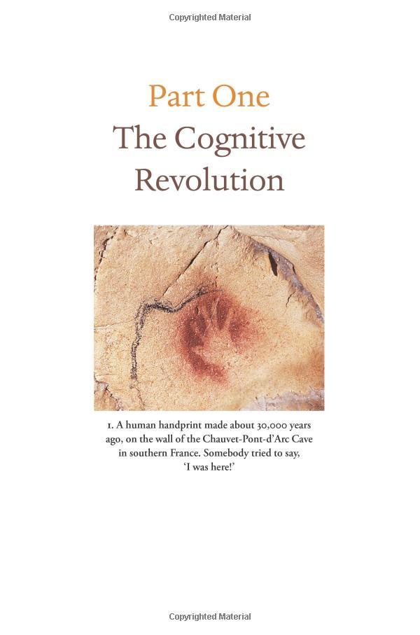 Sapiens : A Brief History of Humankind (Patterns of Life)