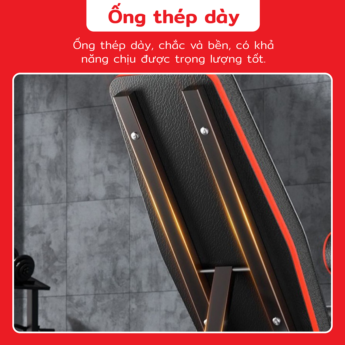 BG Ghế tập thể dục đa năng,SU- 222 - 220 - 218 Hỗ trợ tập các bài tập tạ,cơ bụng,cơ tay gấp gọn,Chất liệu khung thép và đệm xốp bọc da PU (hàng nhập khẩu)