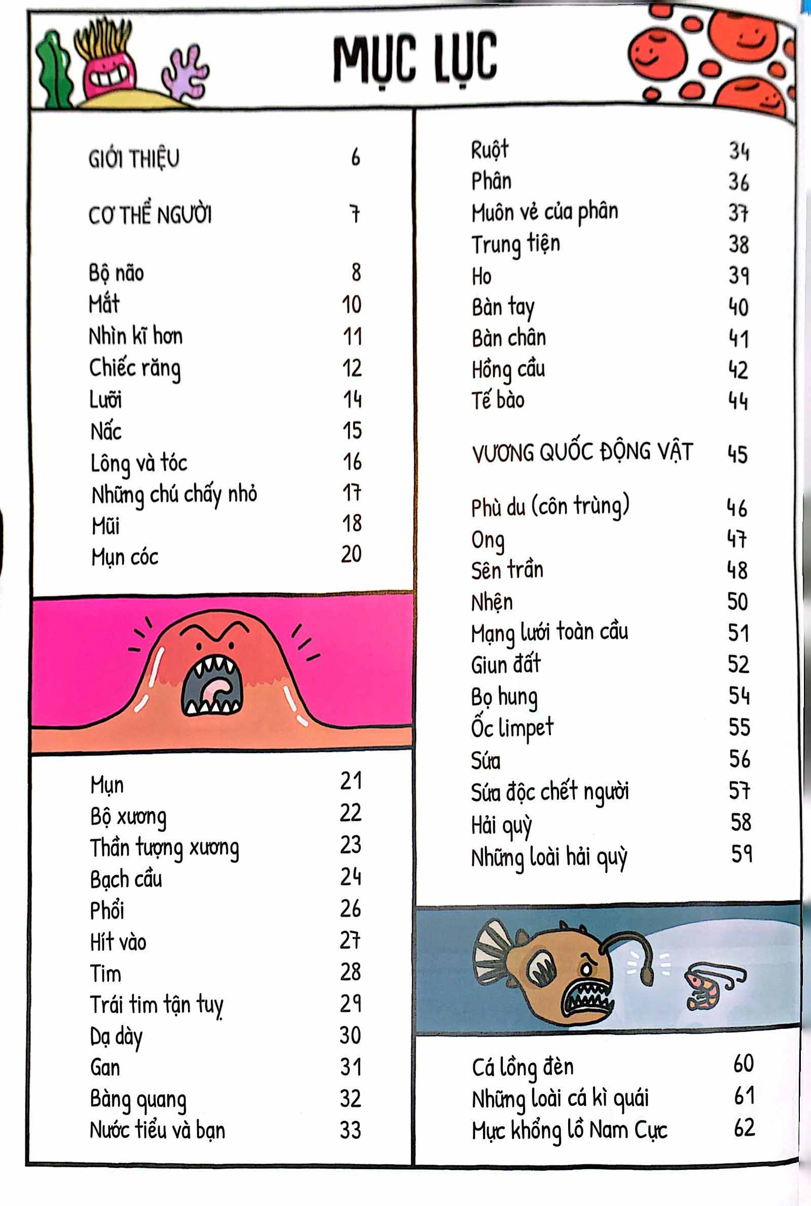 Một Ngày Trong Đời Của Con Lười, Con Ngươi Và Con Người