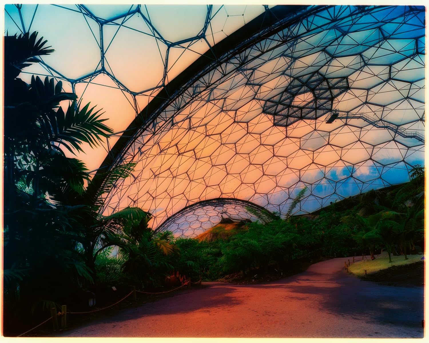 Greenhouses-Cathedrals For Plants