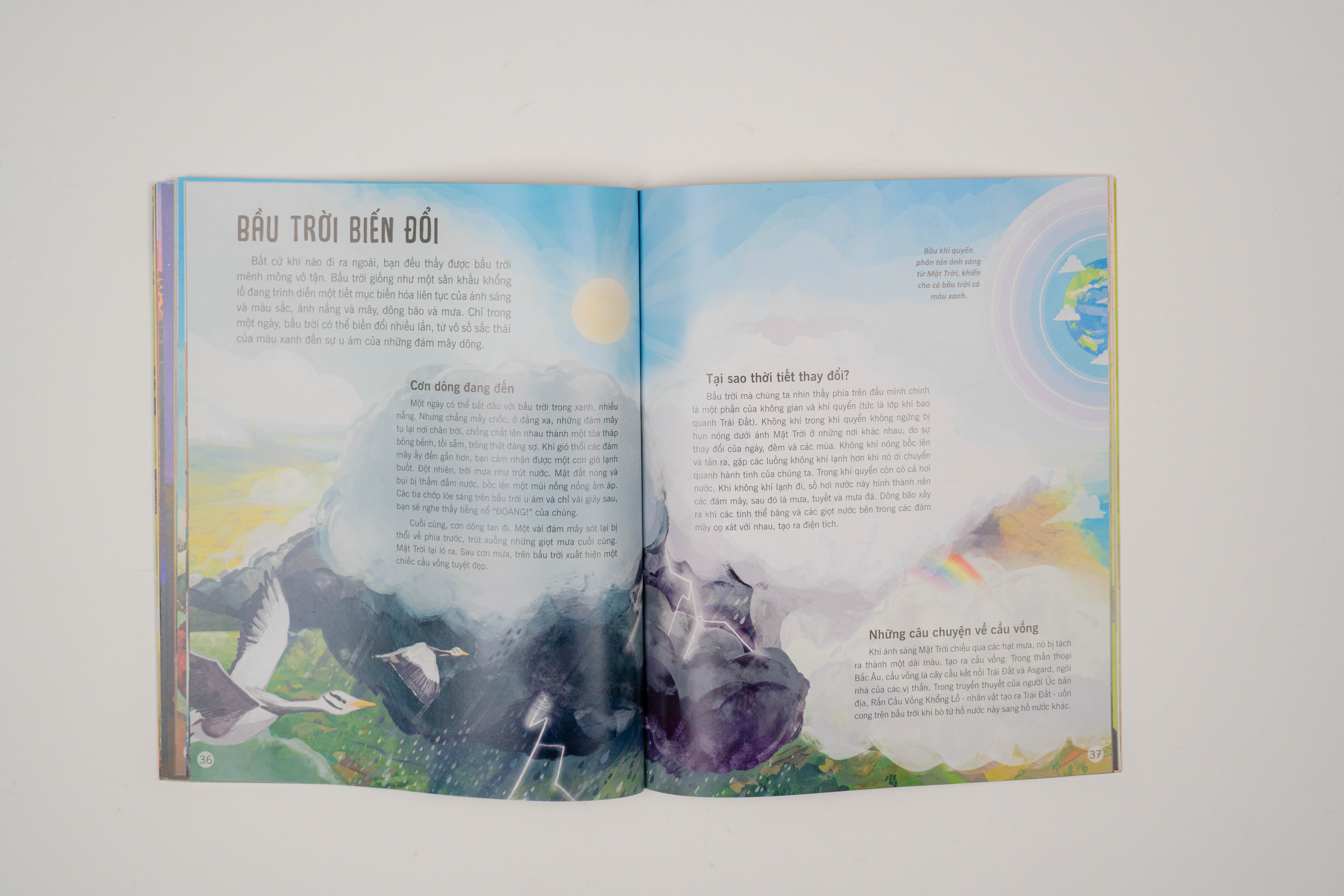 Sách - Vạn vật biến đổi - Bách khoa tri thức cho trẻ từ 6 - 12 tuổi - Đinh Tị Books