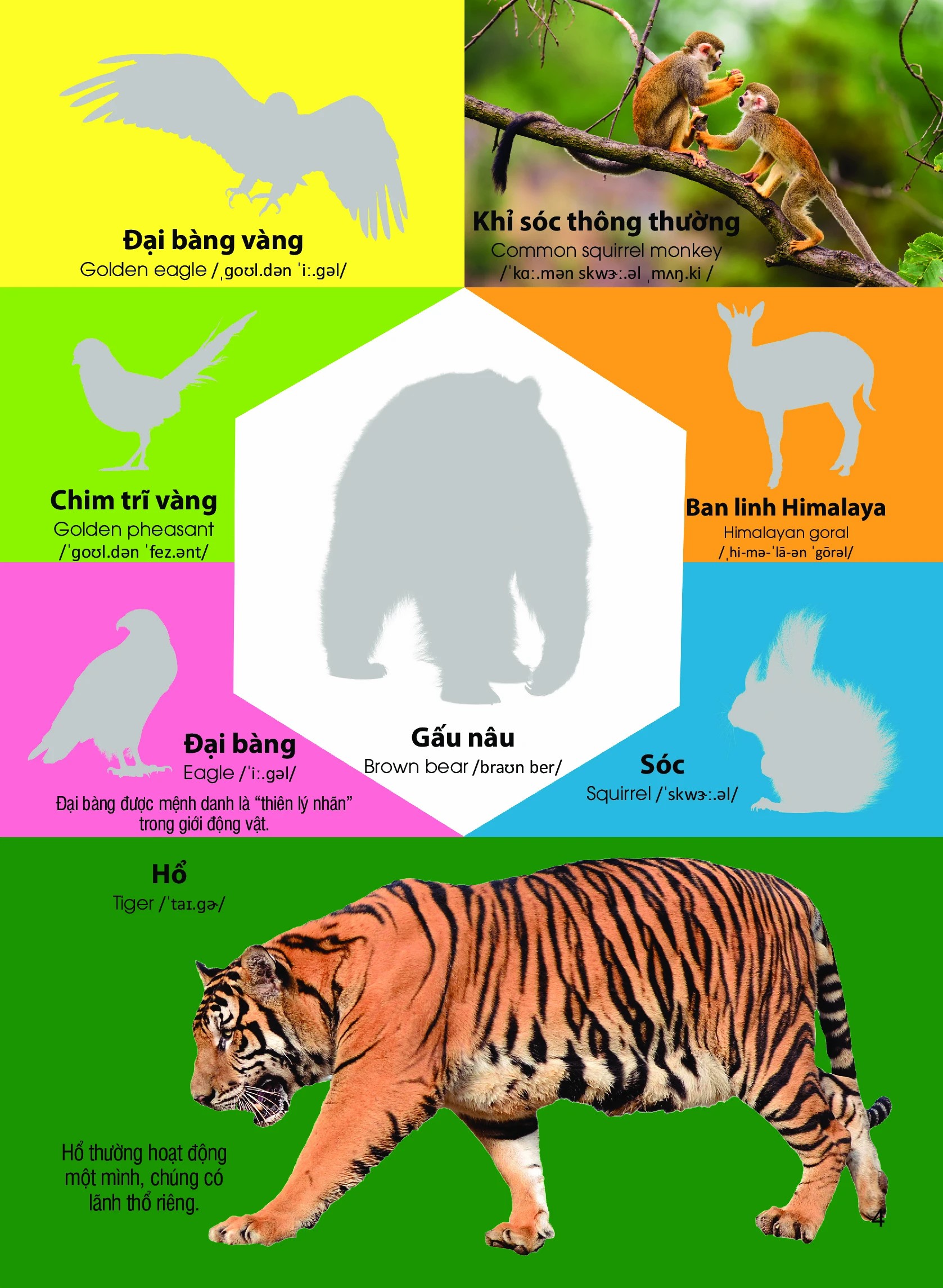 Dán hình nhận biết động vật - Động vật hoang dã