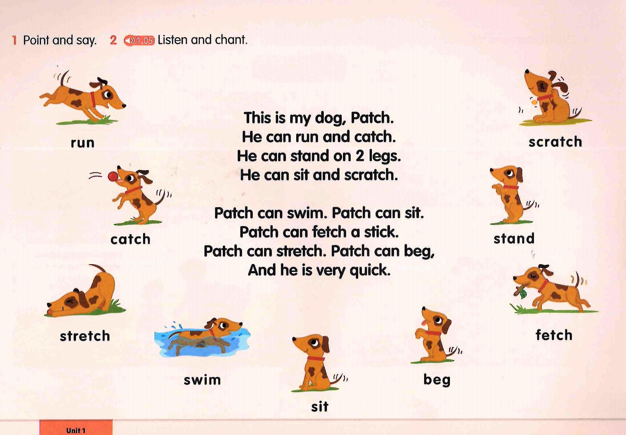 Show And Tell 2nd Edition: Level 3: Literacy Book