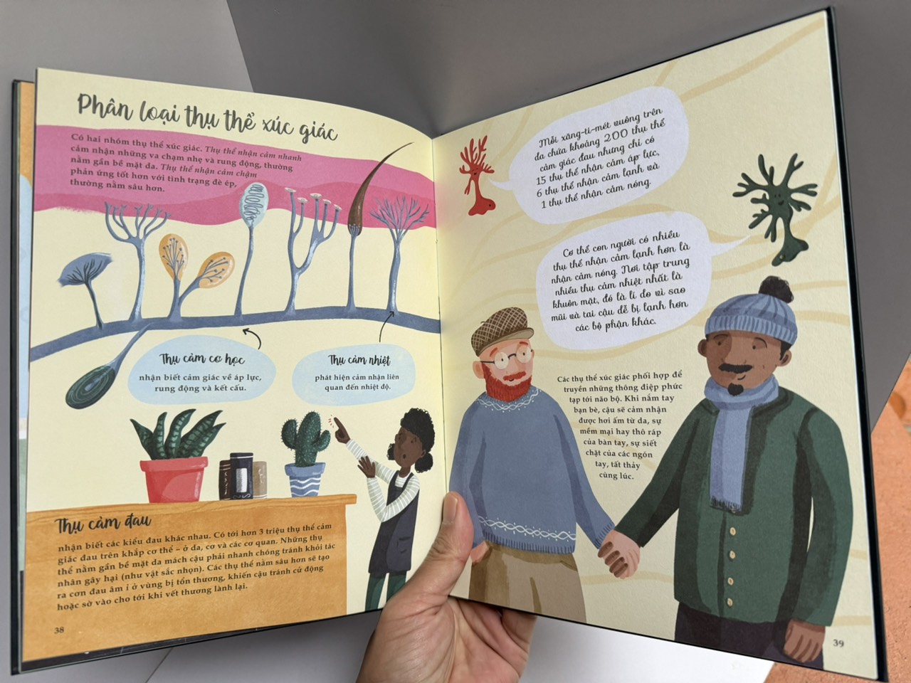 (in màu toàn bộ) BẢY GIÁC QUAN PHI THƯỜNG - Cathy Evans – Huyền Thục dịch – San Hô Books – NXB Thanh niên