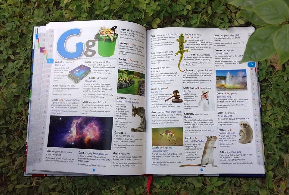 Childrens Picture Dictionary - Từ Điển Tranh Dành Cho Trẻ Em
