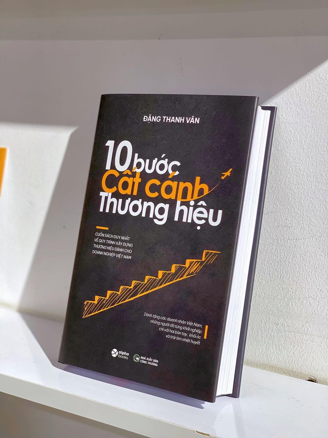 10 Bước Cất Cánh Thương Hiệu - Cuốn Sách Duy Nhất Về Quy Trình Xây Dựng Thương Hiệu Dành Cho Doanh Nghiệp Việt Nam (Đặng Thanh Vân)