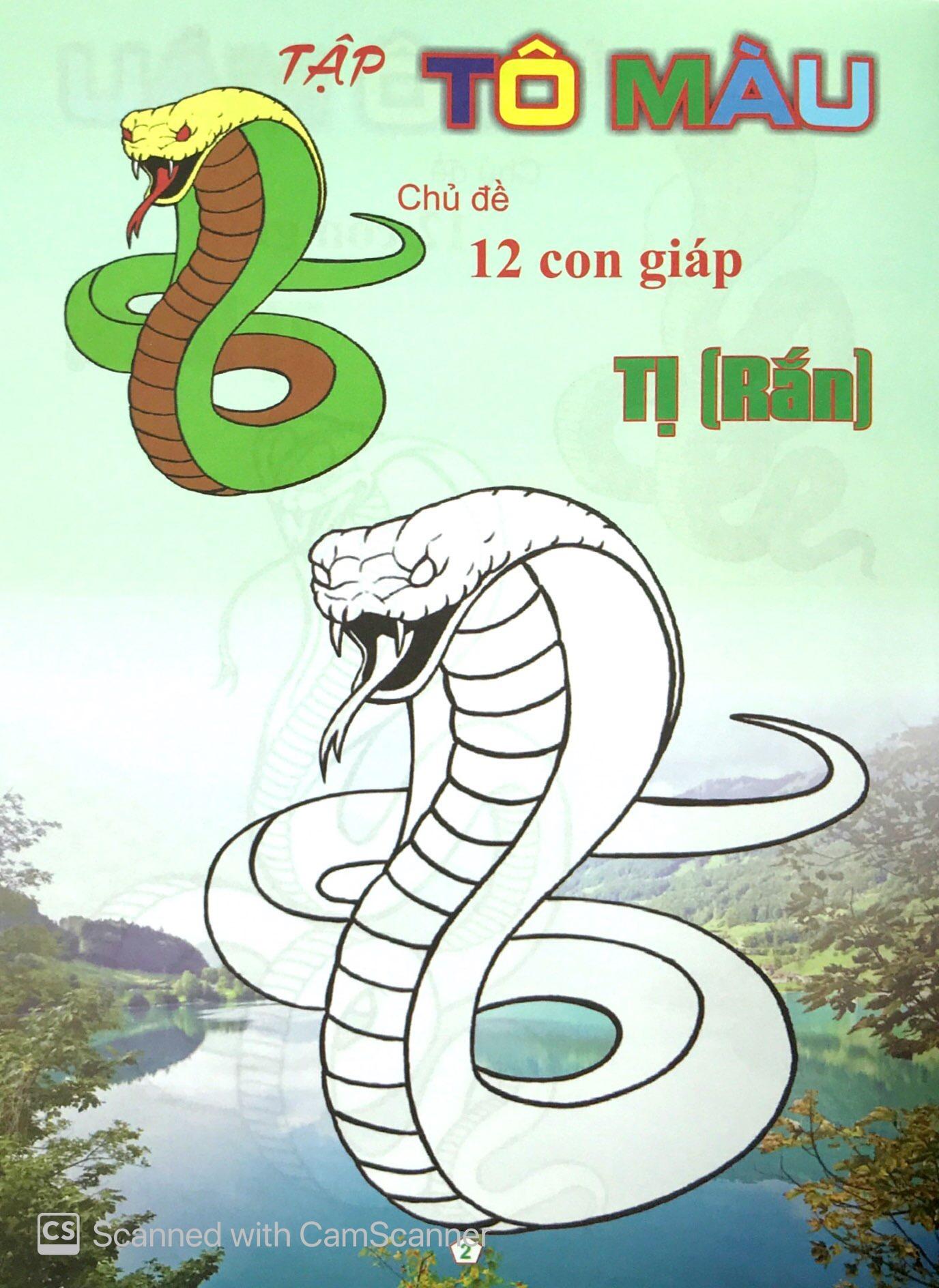 Bộ Tập Tô Màu Chủ Đề 12 Con Giáp: Tị - Dần - Thân - Ngọ (Bộ 4 Cuốn)