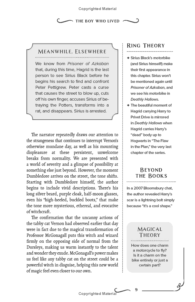 The Unofficial Harry Potter Companion Volume 1: Sorcerer