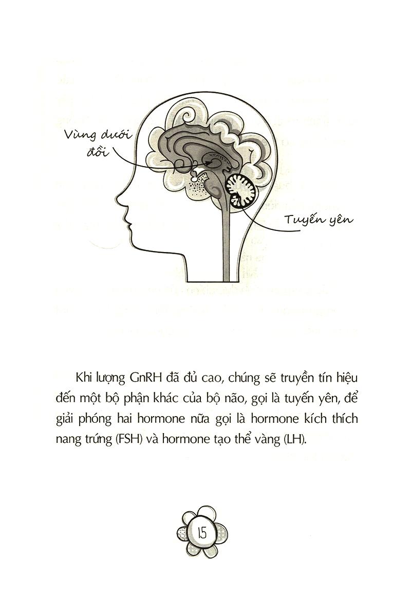 Tuổi Dậy Thì - Từ “Cô Bé" Đến "Cô Nàng"