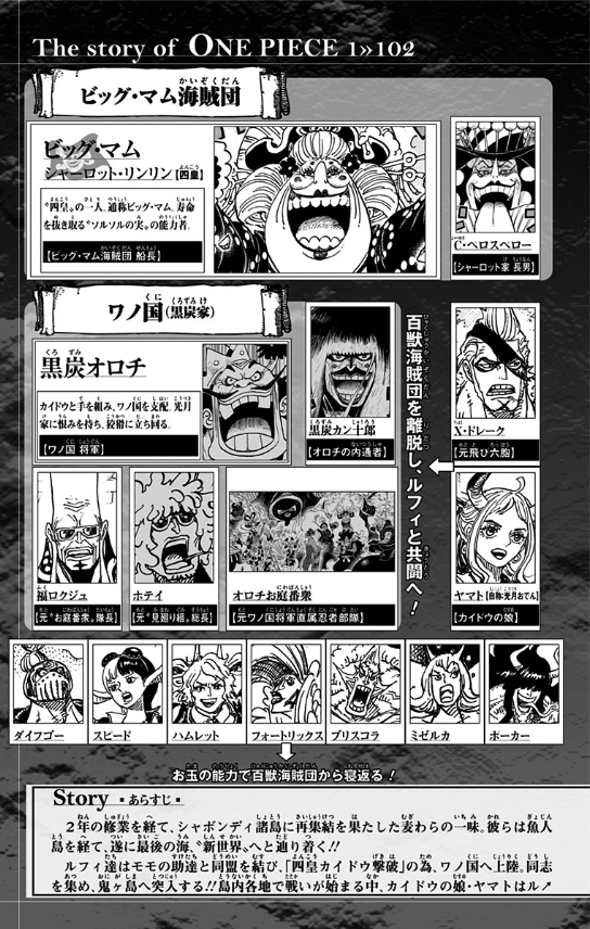 One Piece 102