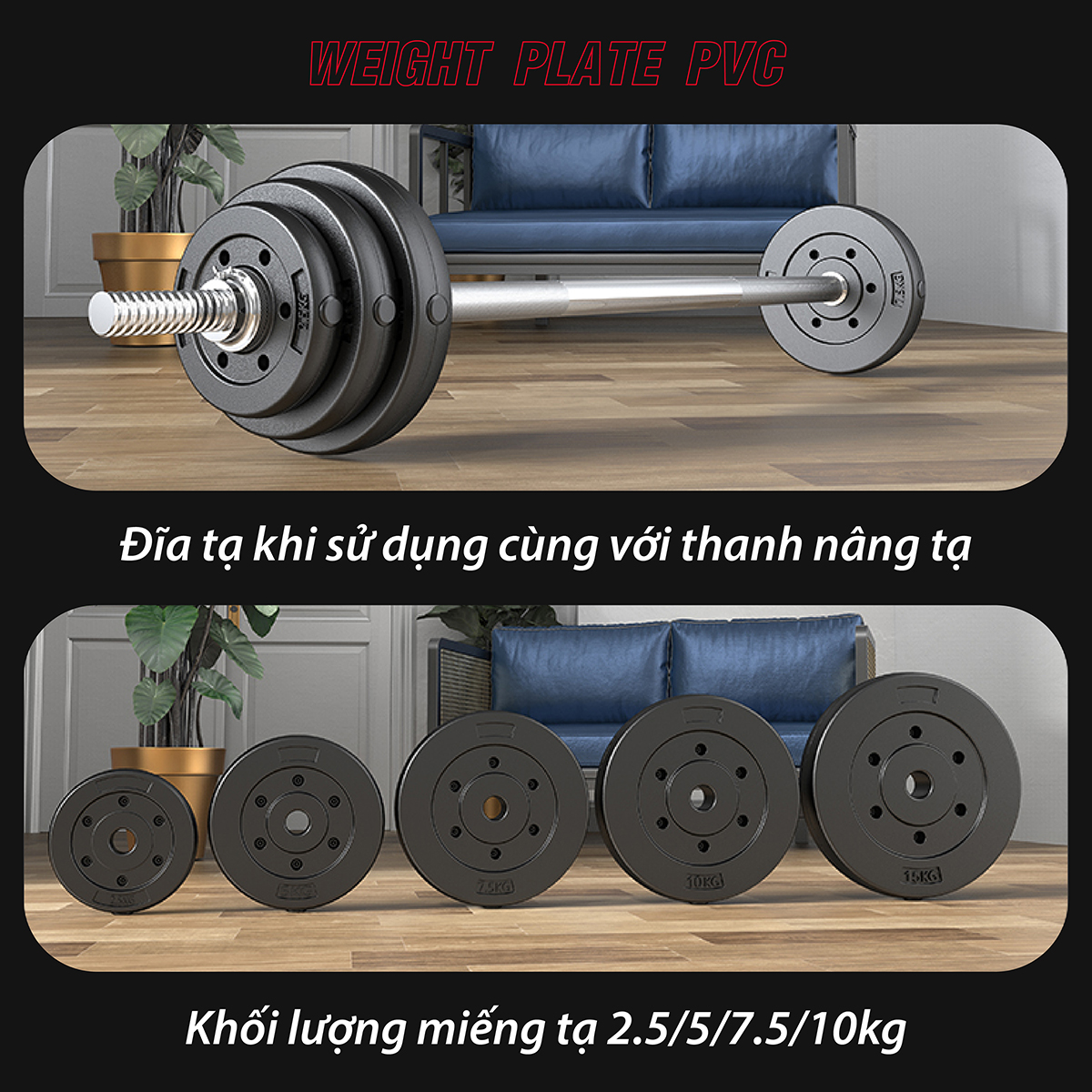 BG Bánh Tạ Nhựa 1.25kg - 20KG Đặc Ruột - Sẵn Kho Giao Liền - Tạ Miếng Nhựa