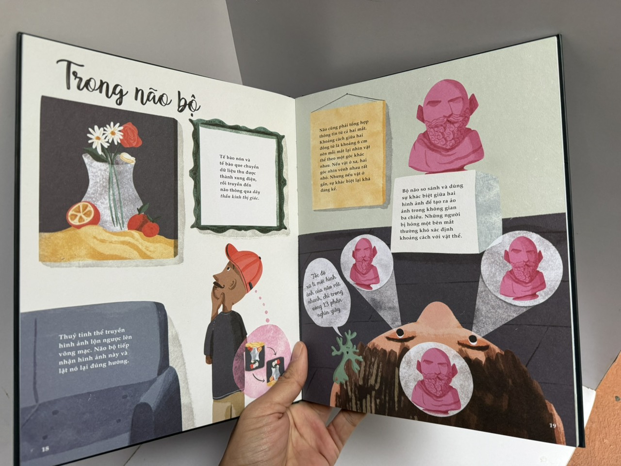 (in màu toàn bộ) BẢY GIÁC QUAN PHI THƯỜNG - Cathy Evans – Huyền Thục dịch – San Hô Books – NXB Thanh niên