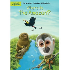 Where Is the Amazon?