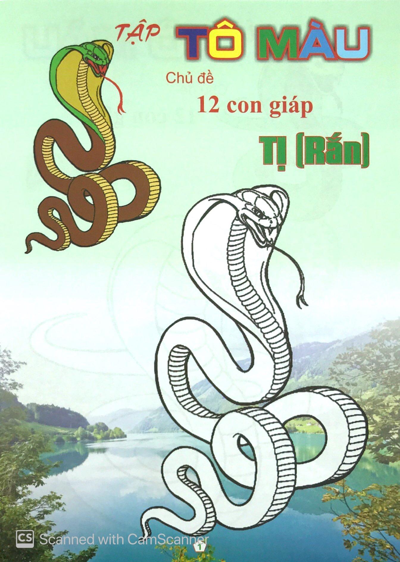 Bộ Tập Tô Màu Chủ Đề 12 Con Giáp: Tị - Dần - Thân - Ngọ (Bộ 4 Cuốn)