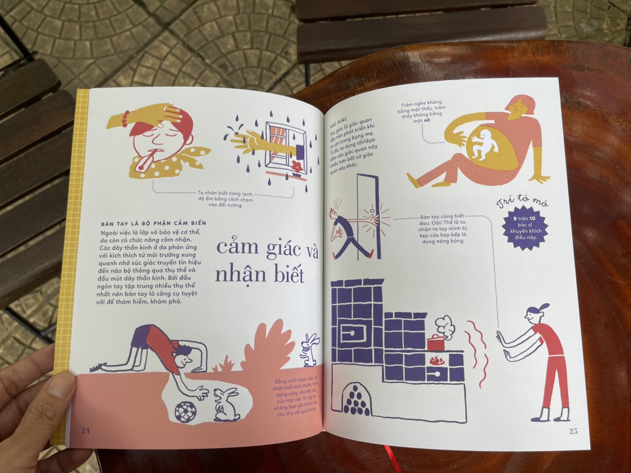 (Bìa cứng in màu - Tủ sách Giải thưởng BRAW “Giải Nobel của sách tranh”) TỎ TƯỜNG TAY TA – Bách khoa toàn thư về đôi tay - Vítězslav Mecner - Magda Garguláková - Thư Vũ dịch - San Hô Books – NXB Thanh niên