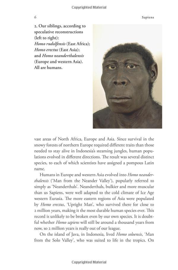 Sapiens : A Brief History of Humankind (Patterns of Life)