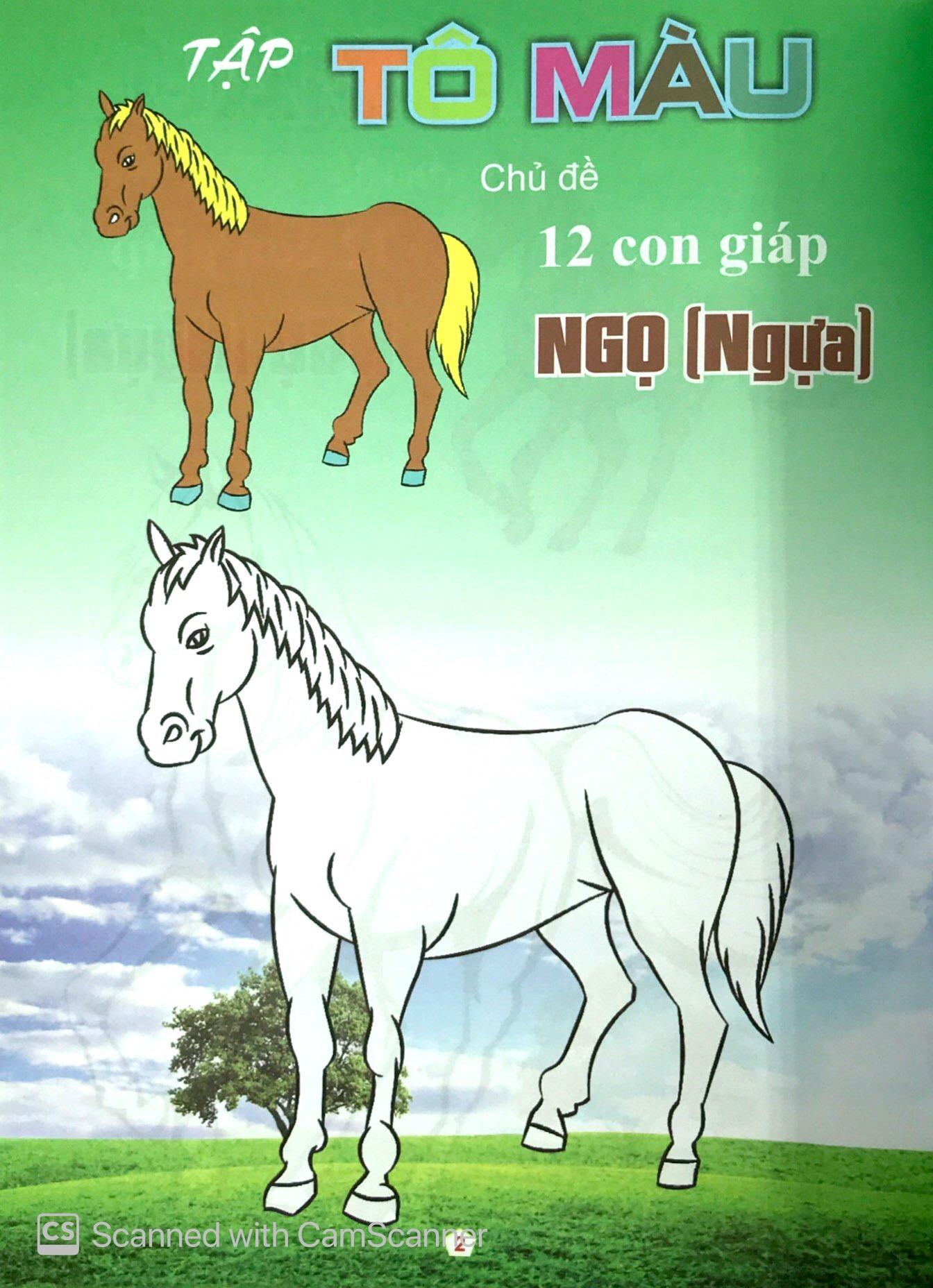 Bộ Tập Tô Màu Chủ Đề 12 Con Giáp: Tị - Dần - Thân - Ngọ (Bộ 4 Cuốn)