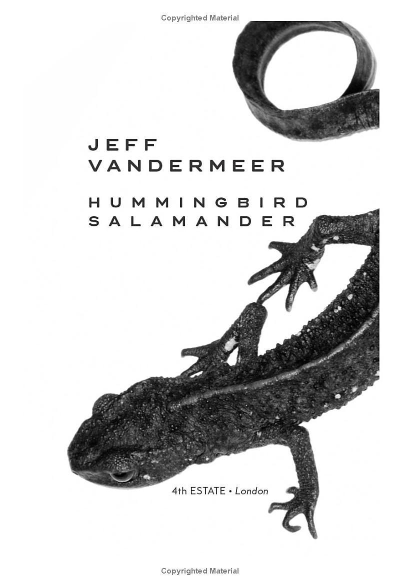 Hummingbird Salamander