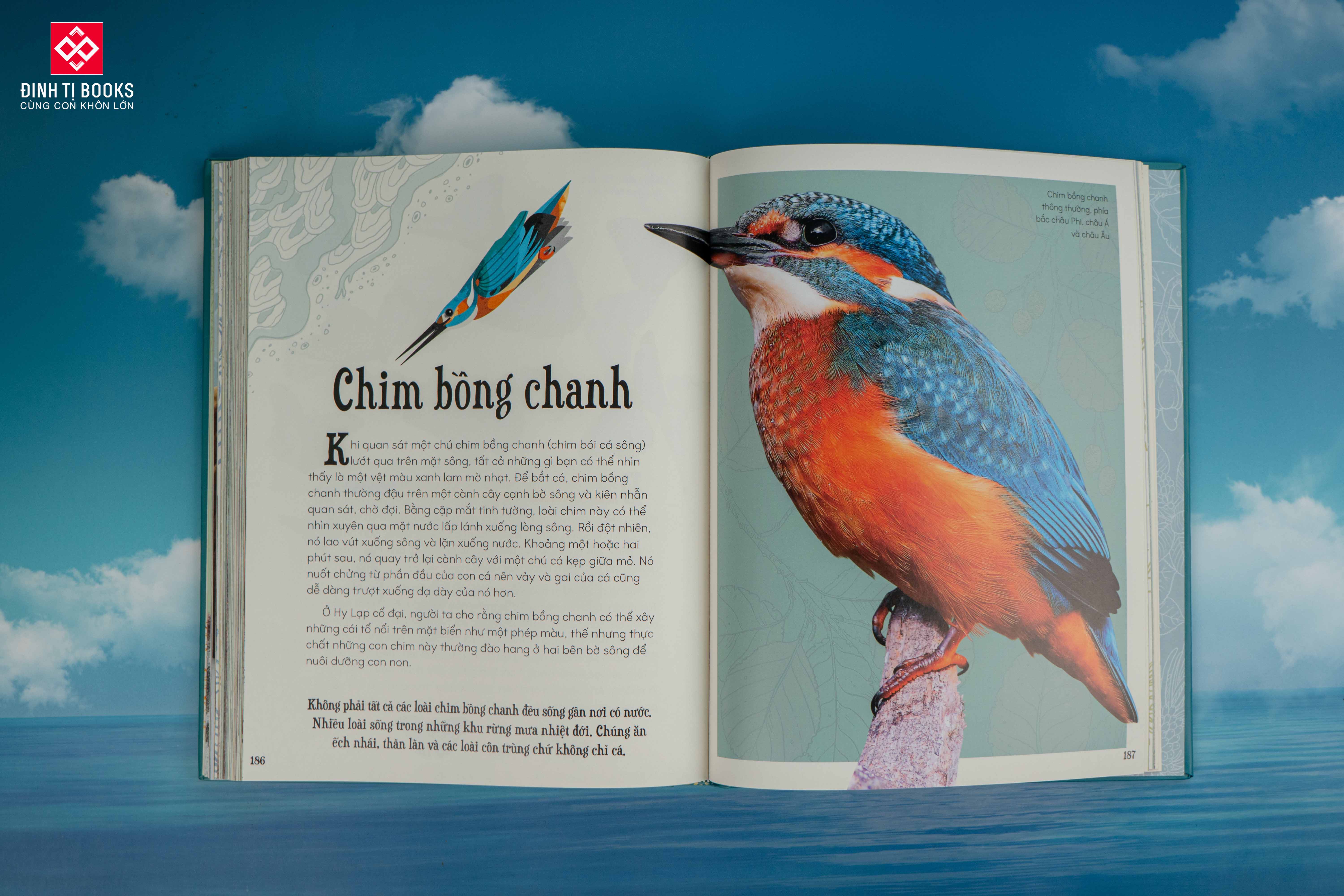 Sách - Bách khoa thư kỳ thú về Vũ trụ - Đinh Tị Books