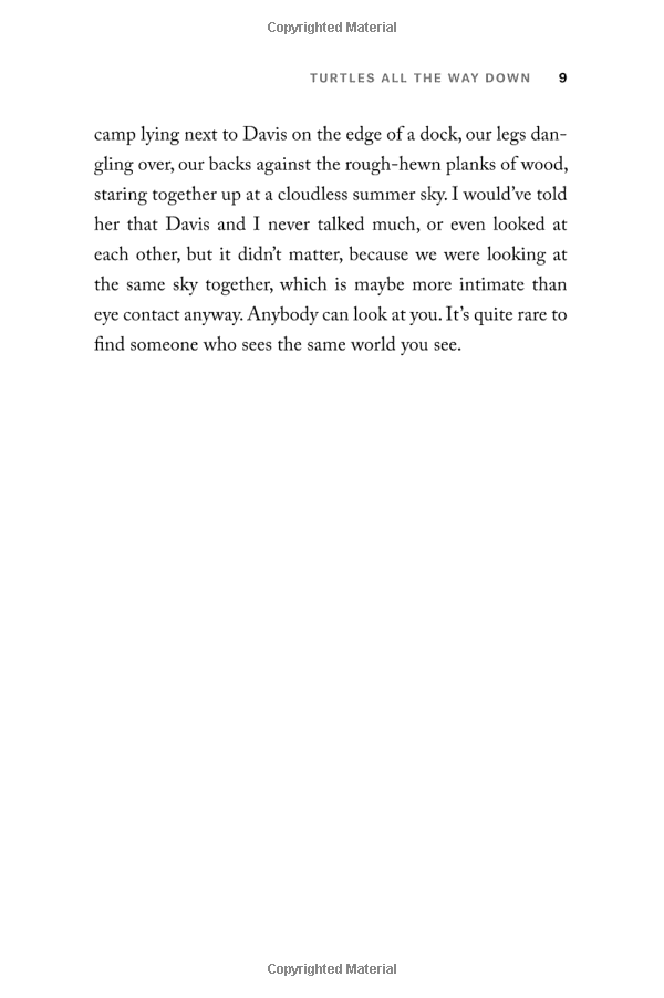 Turtles All The Way Down (Paperback)