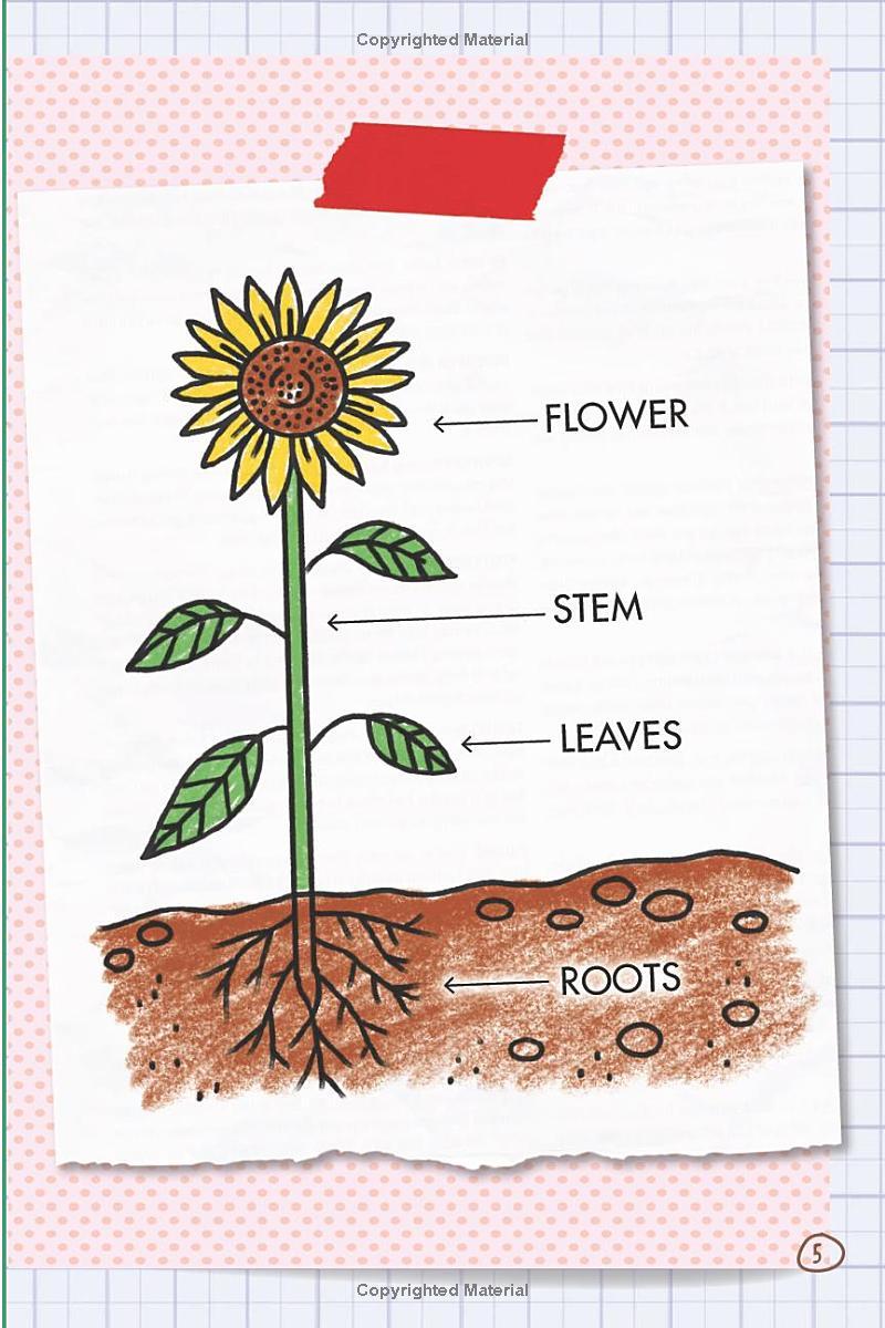 Ada Twist, Scientist: The Why Files #2: All About Plants!