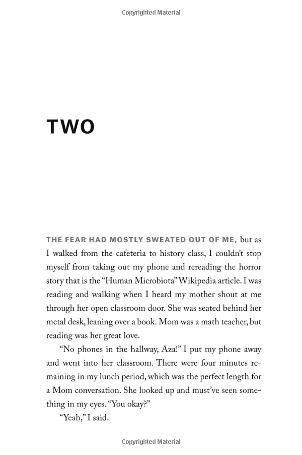 Turtles All The Way Down (Paperback)