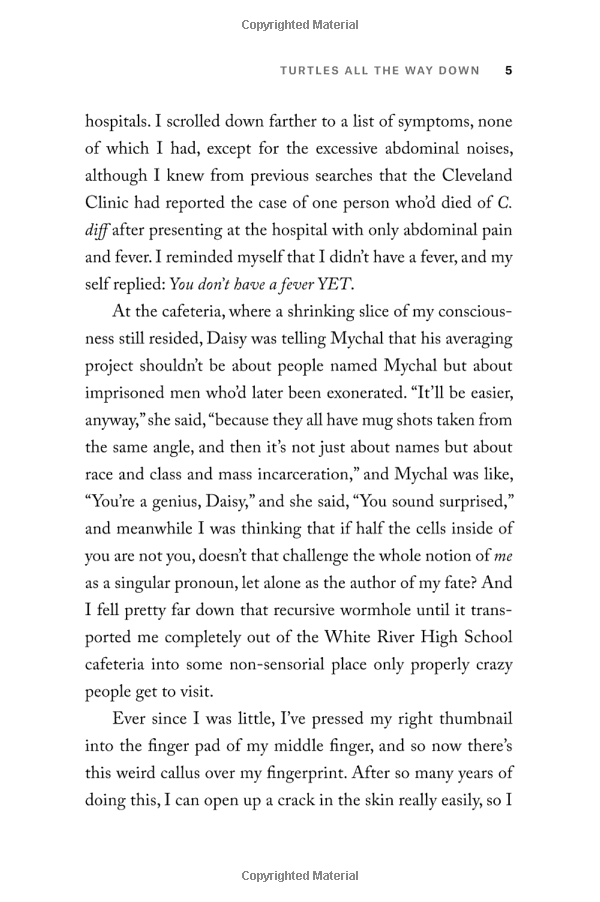 Turtles All The Way Down (Paperback)