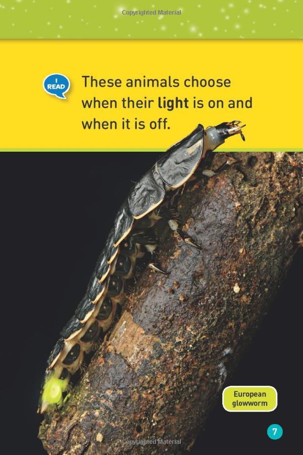 Glowing Animals (L1/Co-Reader) (National Geographic Readers)