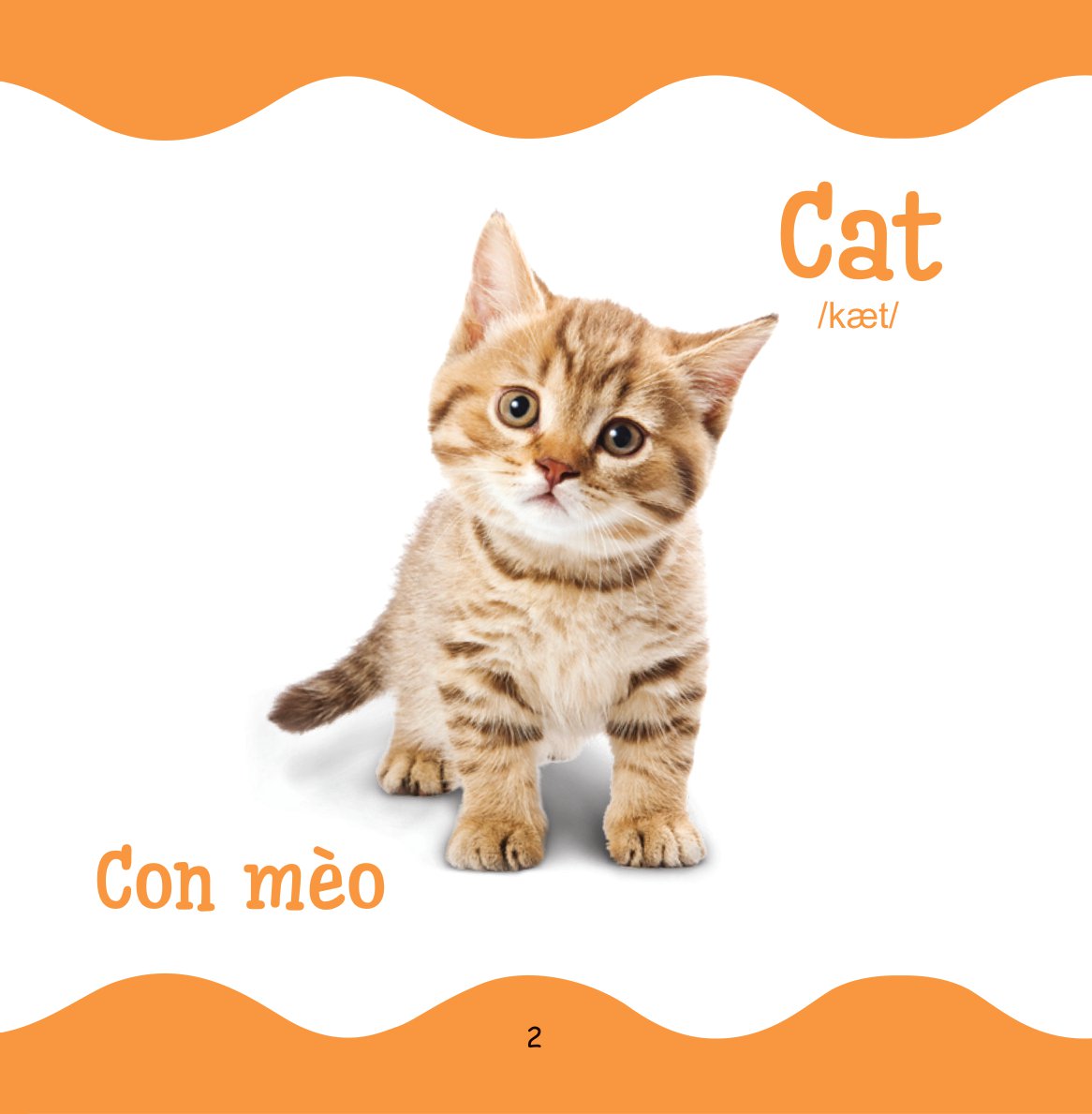 Cùng Con Trưởng Thành - Từ Điển Bằng Hình Cho Trẻ Mầm Non - Động Vật Nuôi _DTI