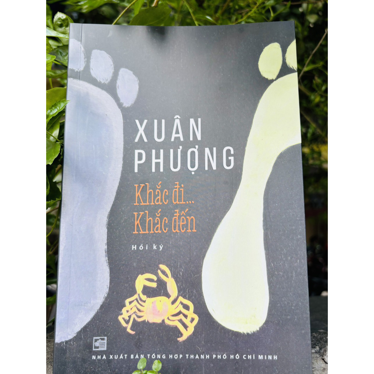Khắc đi… Khắc đến… Hồi ký Xuân Phượng