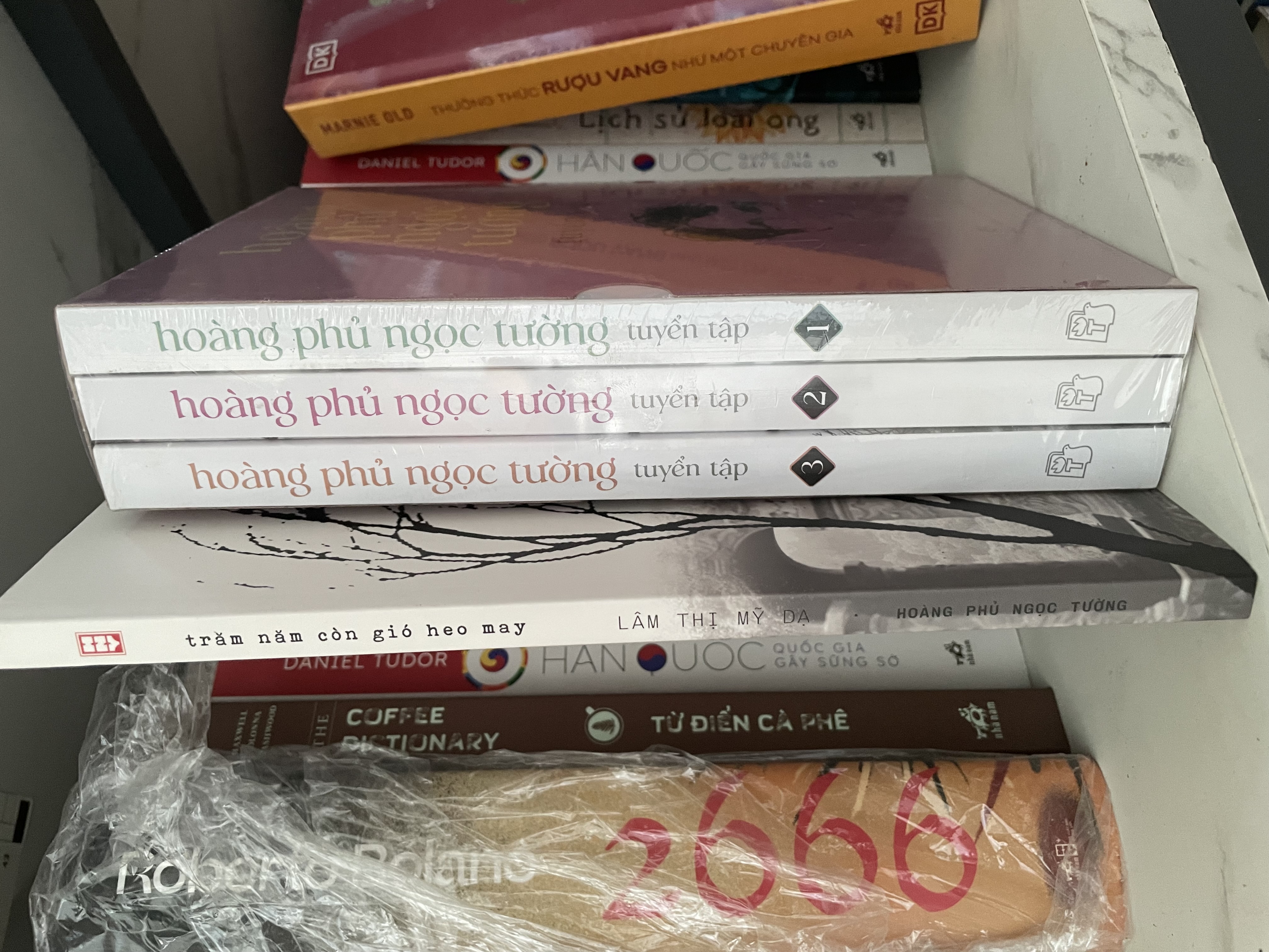 Tuyển tập Hoàng Phủ Ngọc Tường