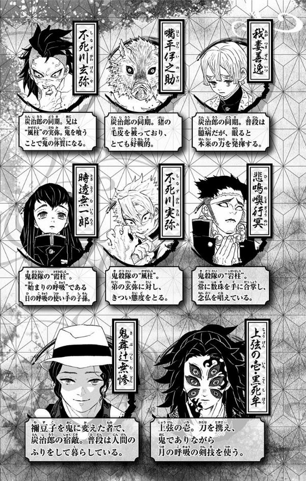 鬼滅の刃 20 : ジャンプコミックス - KIMETSU NO YAIBA TSUUJOUBAN 20