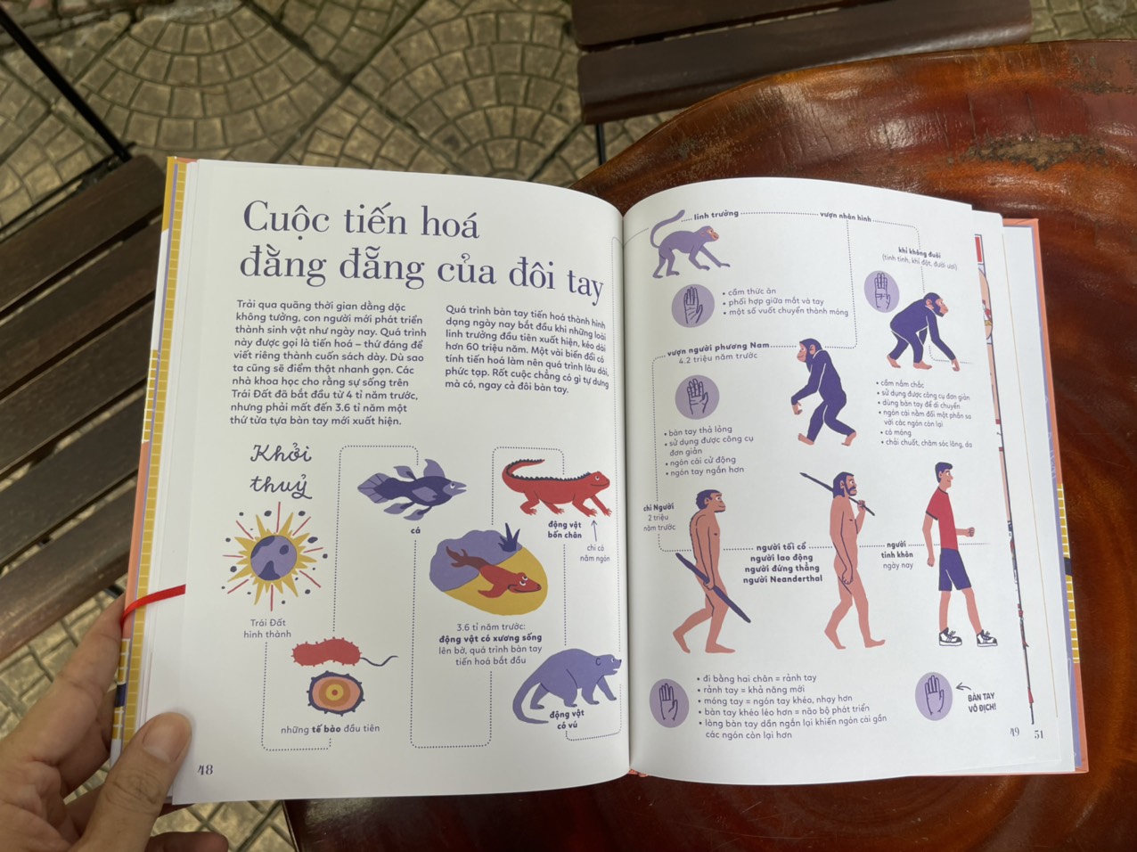 (Bìa cứng in màu - Tủ sách Giải thưởng BRAW “Giải Nobel của sách tranh”) TỎ TƯỜNG TAY TA – Bách khoa toàn thư về đôi tay - Vítězslav Mecner - Magda Garguláková - Thư Vũ dịch - San Hô Books – NXB Thanh niên