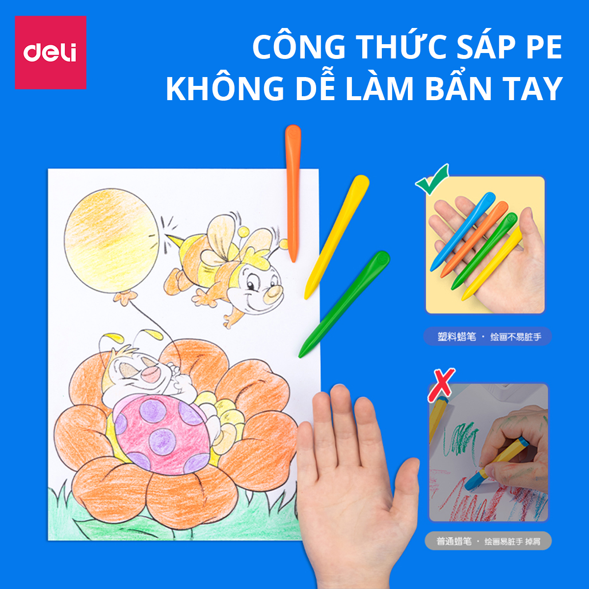 Bút sáp màu hữu cơ gấu con Deli - An toàn cho bé, không vấy bẩn tay - 12/24/36 màu - Tô màu, vẽ tranh học sinh trẻ em - Cán tam giác dễ cầm