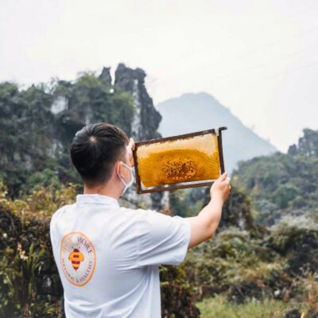 Mật ong rừng Hoa Miền Núi dạng tuýp tiện dụng 130g - 100% mật ong chín Honimore